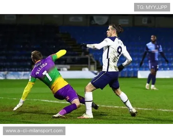 托特纳姆热刺—贝尔禁区内倒钩惊艳全场